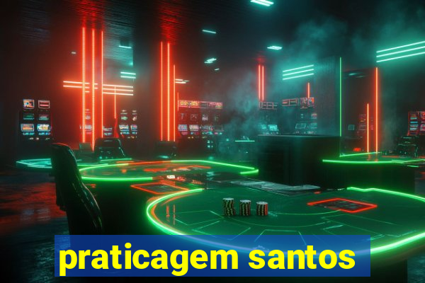 praticagem santos